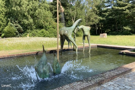 Camille Henrot, Adrift